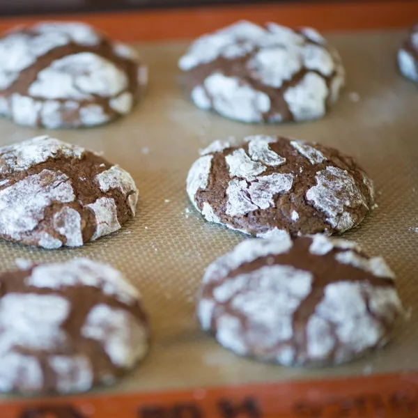 recettes Recettes de biscuits au chocolat