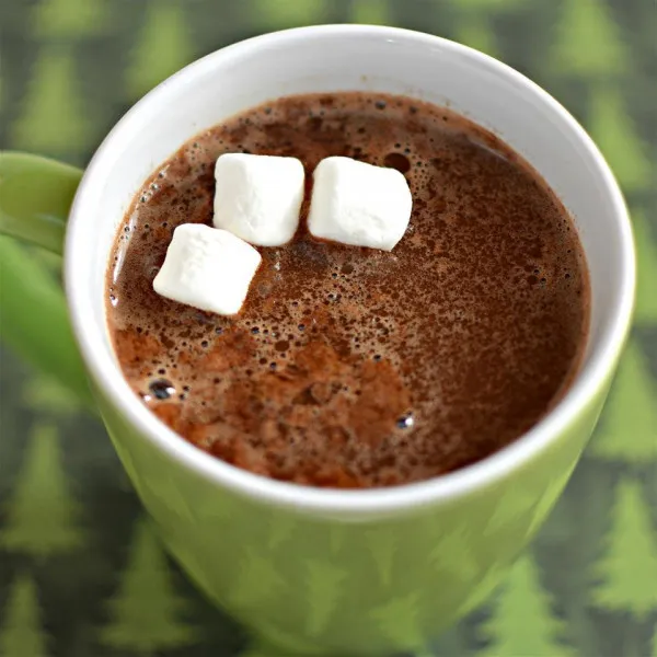 receta Chocolat chaud au lait de poule et à la menthe