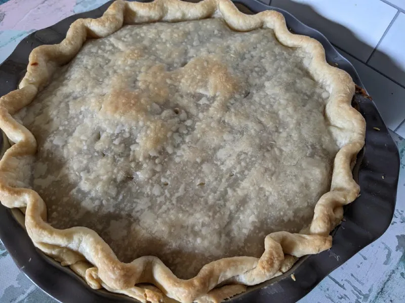 receta Empanada au poulet et aux champignons