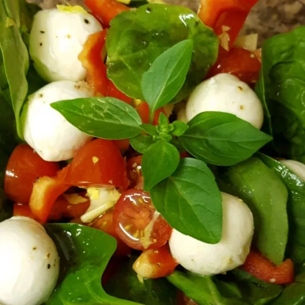 receta Salade Boconcini