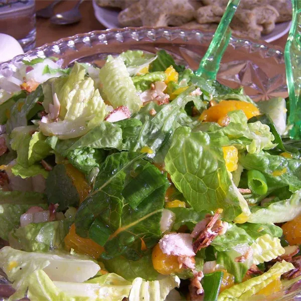 recettes Recettes de salade de laitue romaine