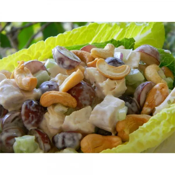 recetas Ensalada De Pollo Del Sur