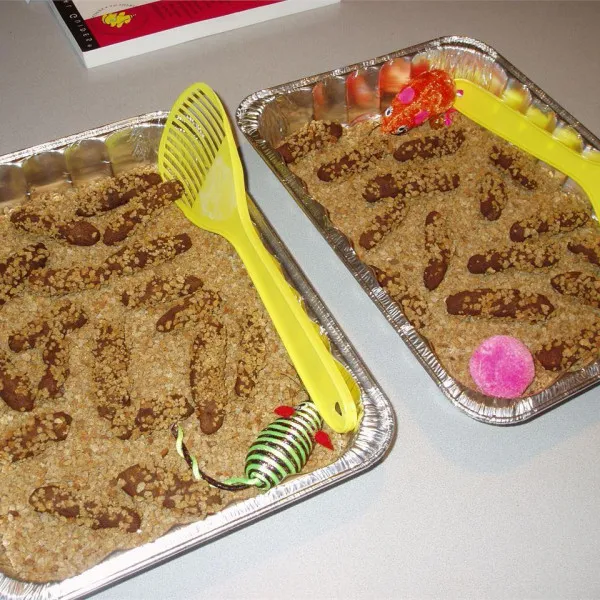 receta Cat Poop Cookies I