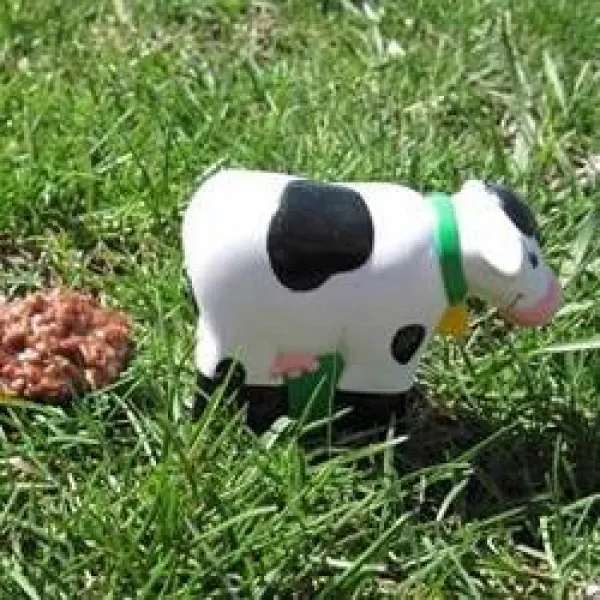 Przepis Krakersy Cow Patty