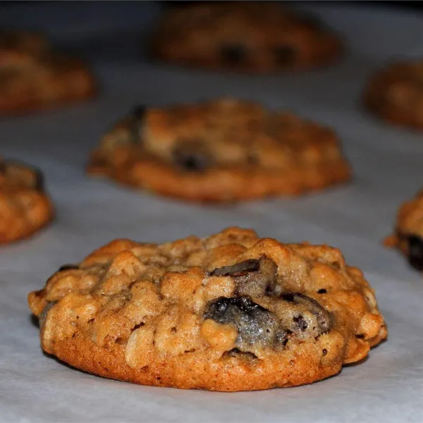 recettes Recettes de biscuits à l'avoine et aux raisins secs