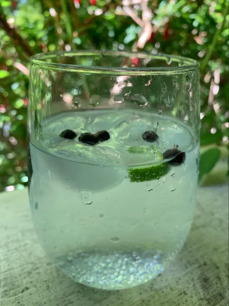 receta Gin Tonic De Citron Vert Et De GenÃ©vrier