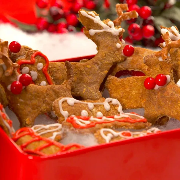 receta Golosinas Para Perros Cosmos Reindeer Cookie
