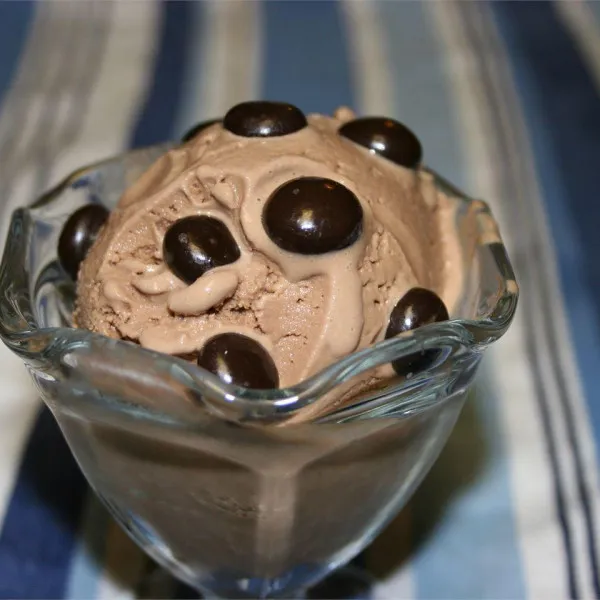 recette Glace chocolat soja noisettes