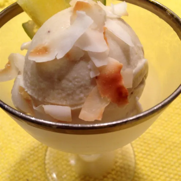 receta Paleo Tropical Ice Cream