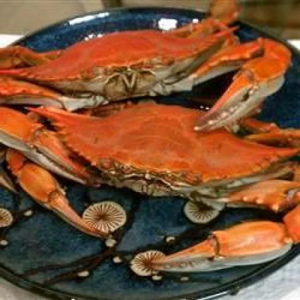 receta Faire bouillir le crabe bleu du Delaware