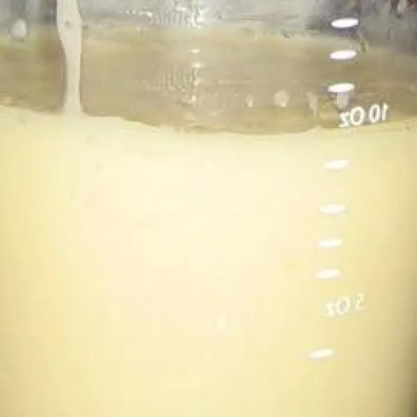 receta Leche Condensada Azucarada Desde Cero