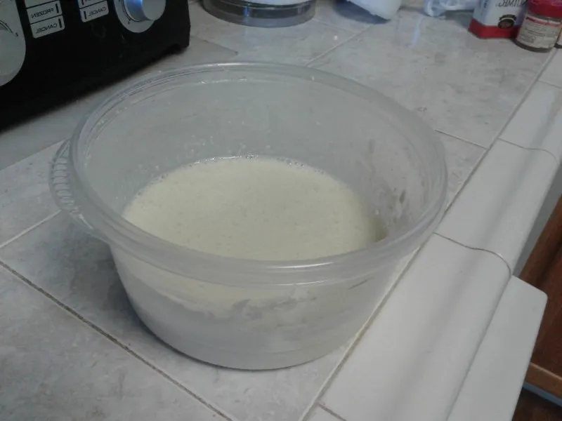 recetas Leche Condensada Azucarada