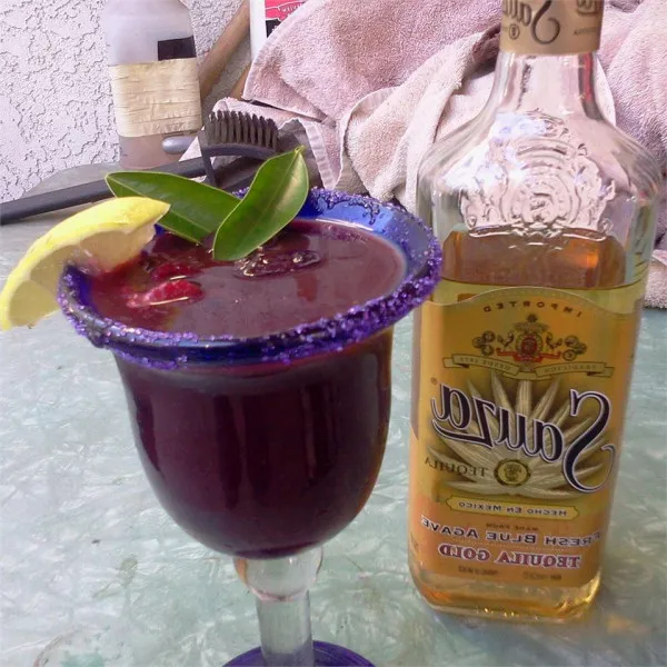 receta Purple And Gold Margarita