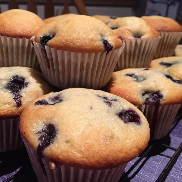 receta Muffins De Arándanos Alienados