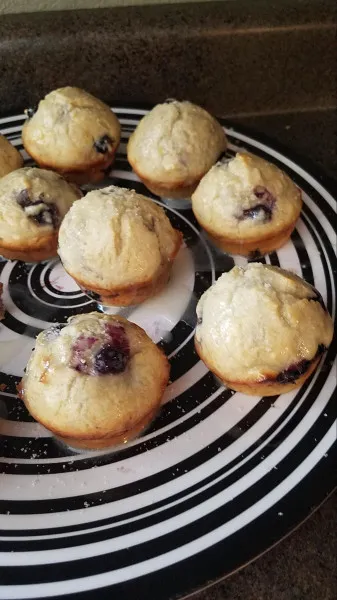 receta Muffins Fáciles De Arándanos I