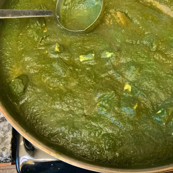 recetas Palak Paneer (curry De Espinacas)