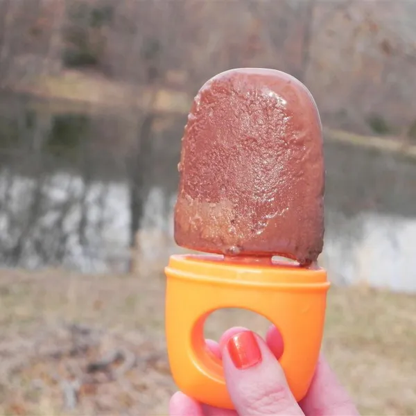 receta Paletas De Chocolate Bajas En Grasa