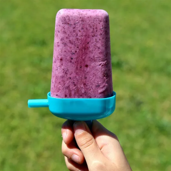 recetas Paletas De Yogur De Arándanos