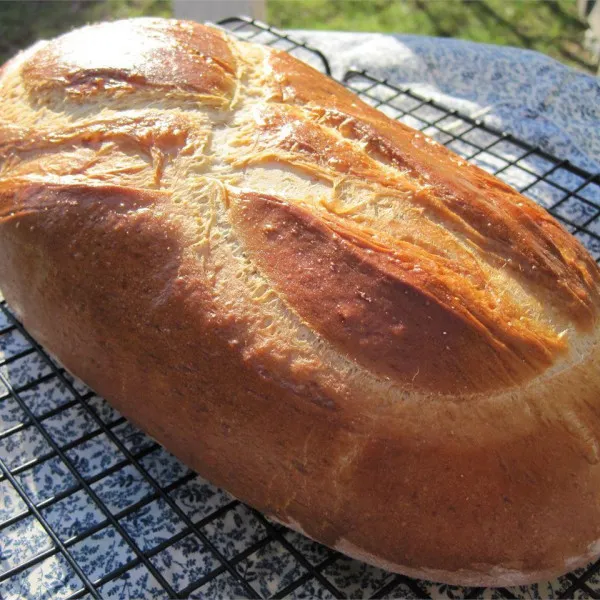 recettes Recettes de pain à la levure