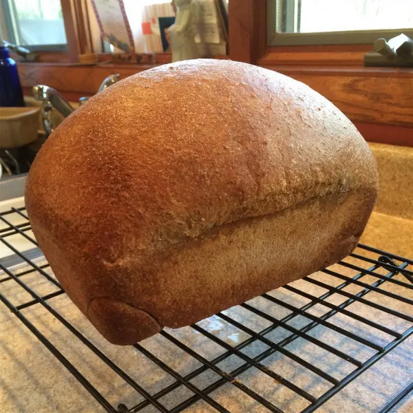 recetas Pan De Trigo