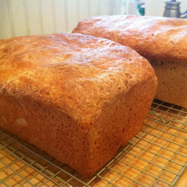 recetas Pan De Trigo