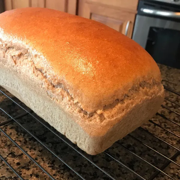 przepisy Chleb Brązowy Z Miodem