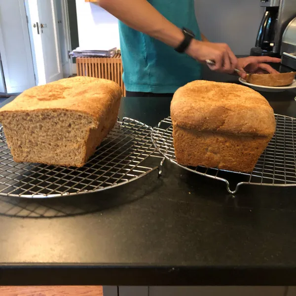 recetas Pan De Trigo