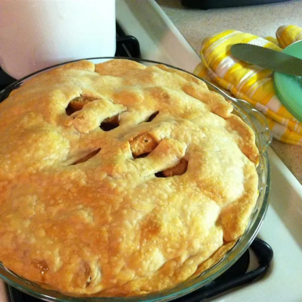 recetas Apple Pie Recipes