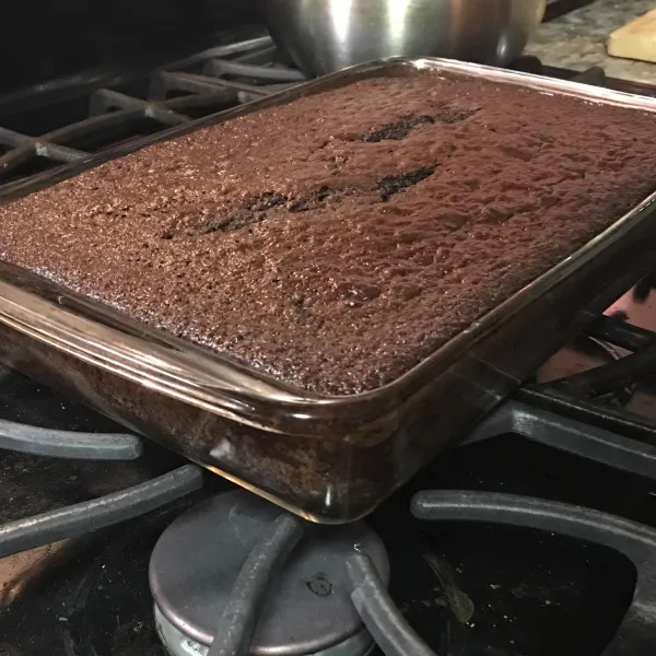 receta Pastel De Masa Fermentada De Chocolate Y Arándanos