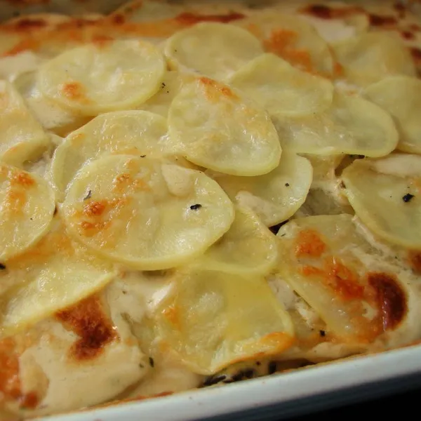 receta Gratin de pommes de terre truffé du chef John