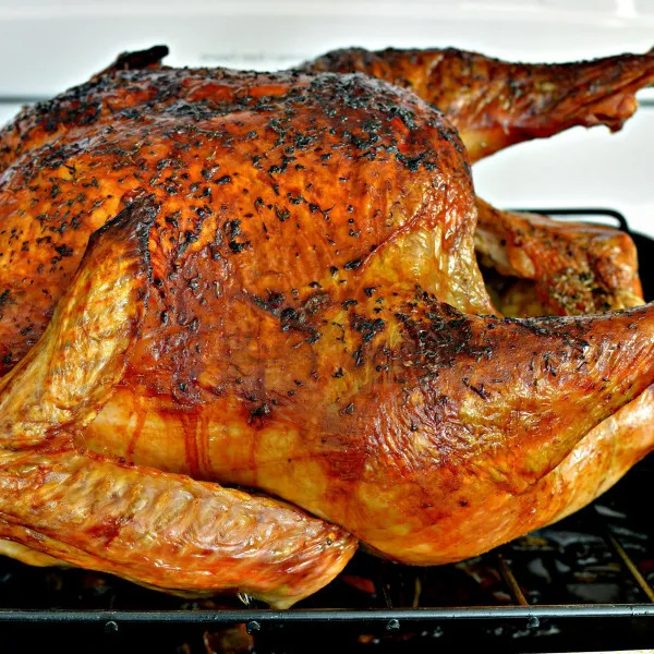 przepisy Homemade Turkey, Michigander Style