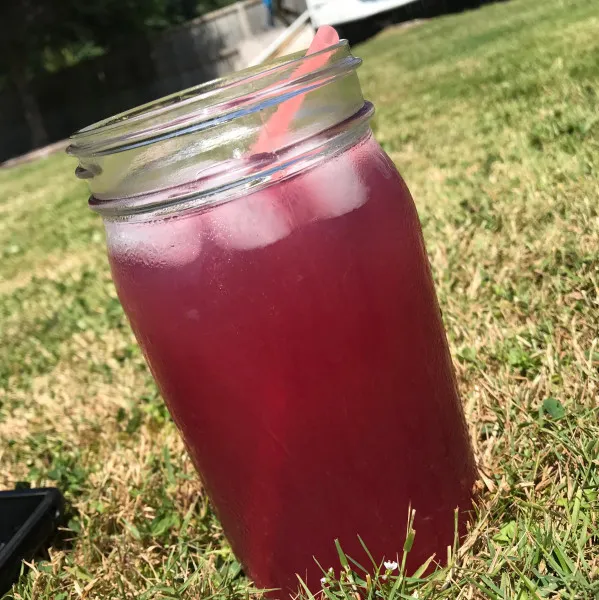 Przepis Cranberry Rum Punch