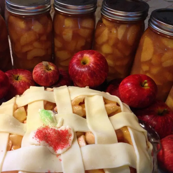 receta Tarte aux pommes en conserve