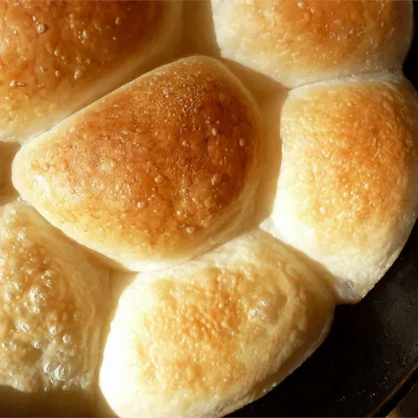 przepisy Herman Dinner Rolls