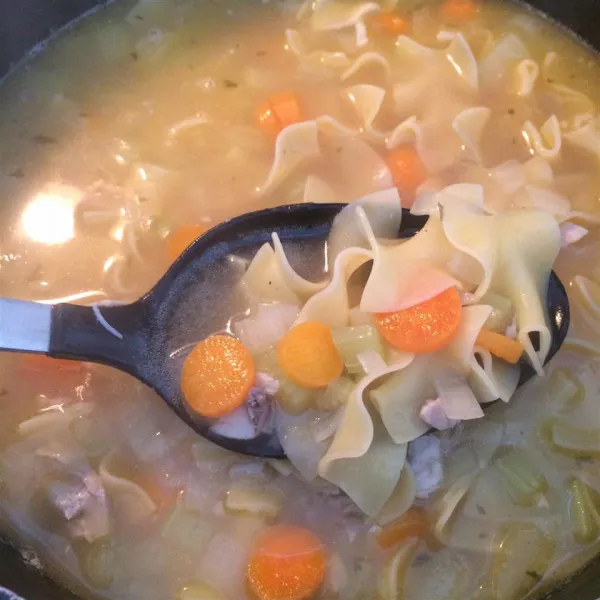 receta Sensational Chicken Noodle Soup