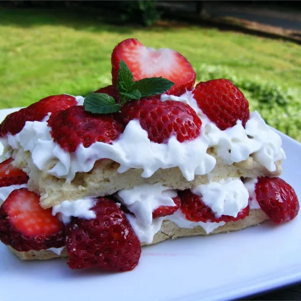 przepisy Strawberry Shortcake Delicious