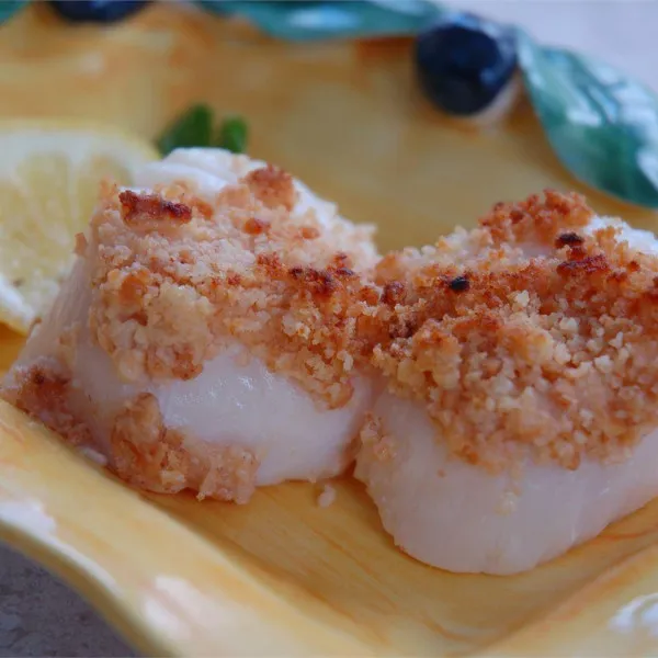 recettes coquilles saint-jacques