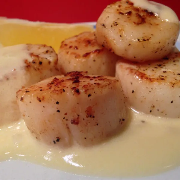 recetas Vieiras Con Salsa De Vino Blanco I